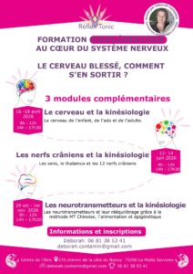 Formations kinésiologies avancées, nerfs crâniens et cerveau