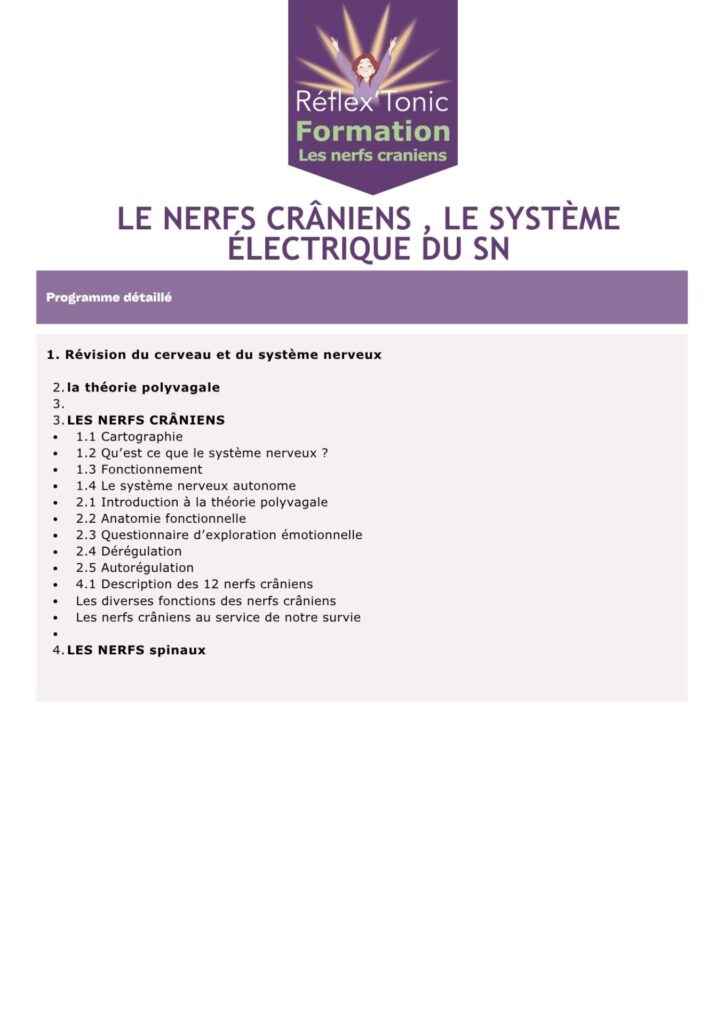 Les nerfs craniens descriptif