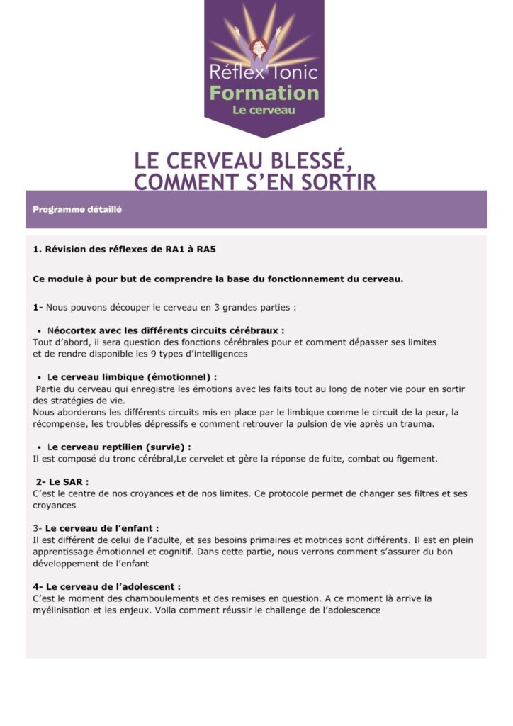 le cerveau et la kinesiologie descriptif